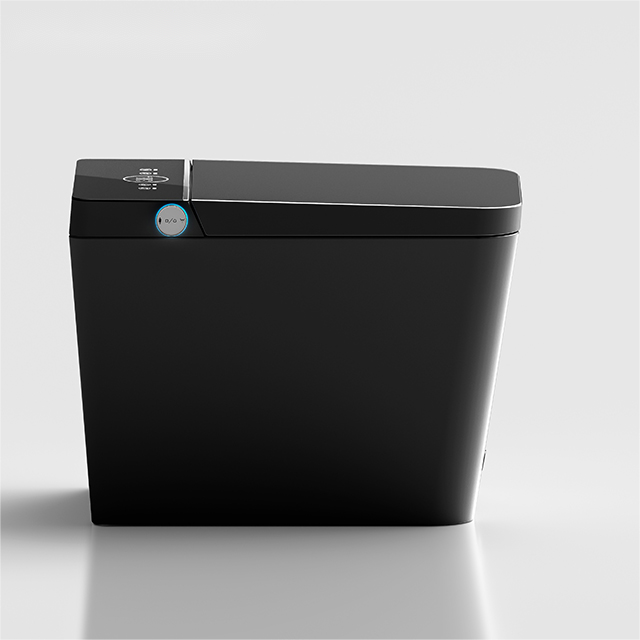 Black Tankless Smart Bidet Toilet - Modern Elegance, Superior Hygiene & Instant Warm Water