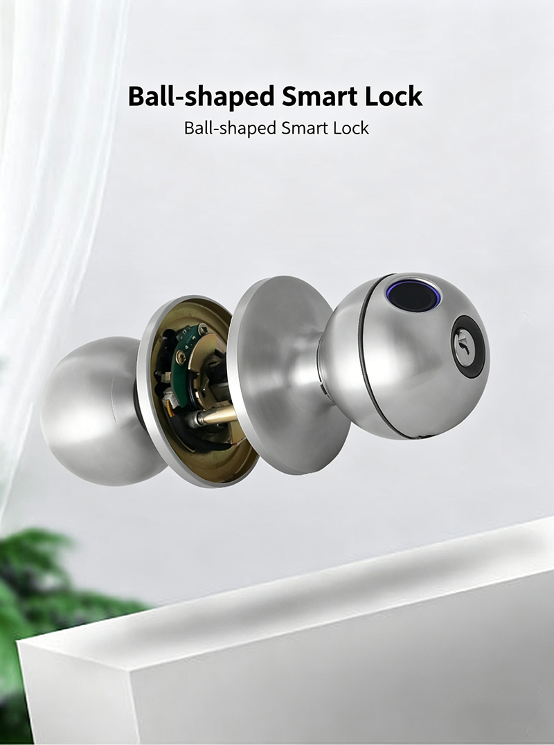 Biometric Smart Door Knob with Fingerprint & App Control