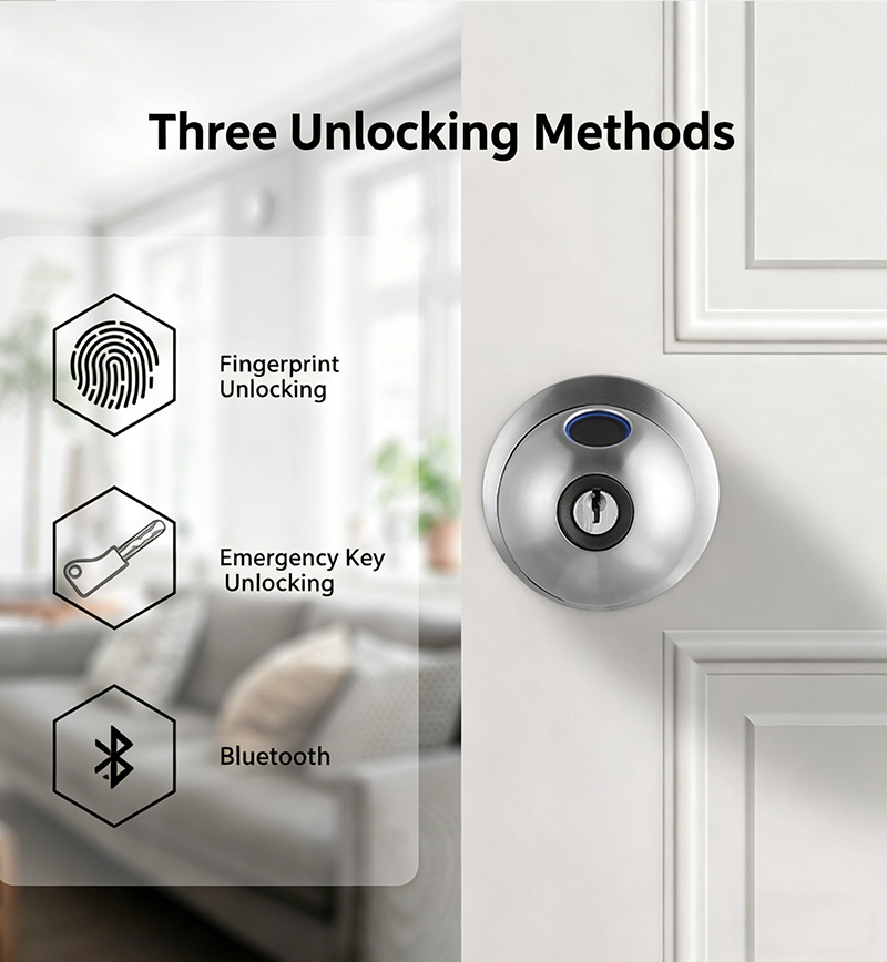 Biometric Smart Door Knob with Fingerprint & App Control