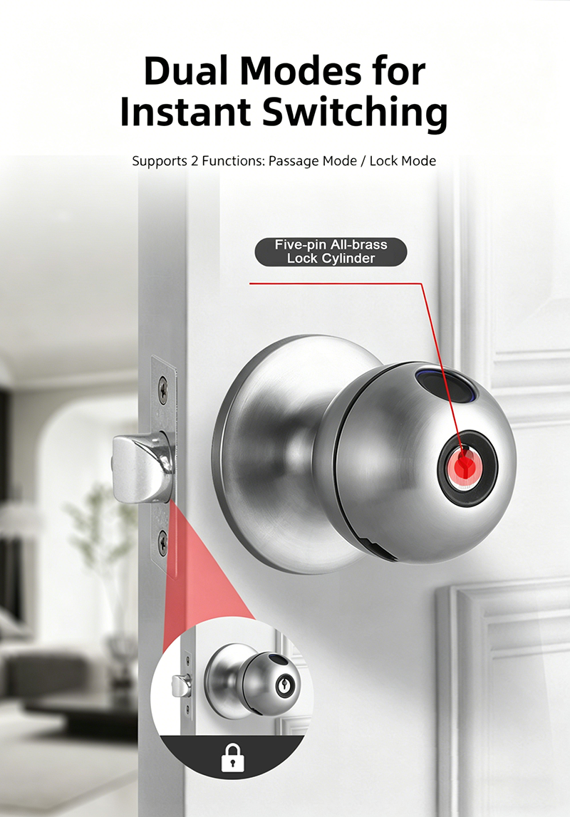 Biometric Smart Door Knob with Fingerprint & App Control
