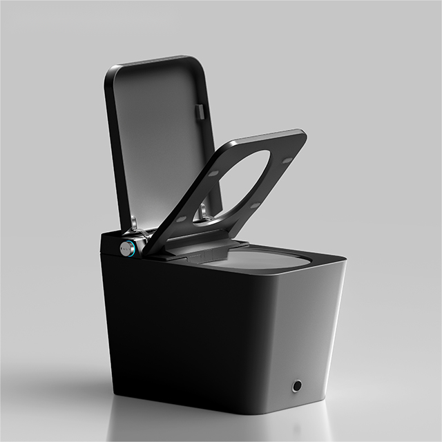 Black Tankless Smart Bidet Toilet - Modern Elegance, Superior Hygiene & Instant Warm Water