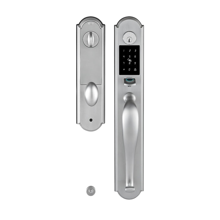 Tuya Smart Door Lock with Handle