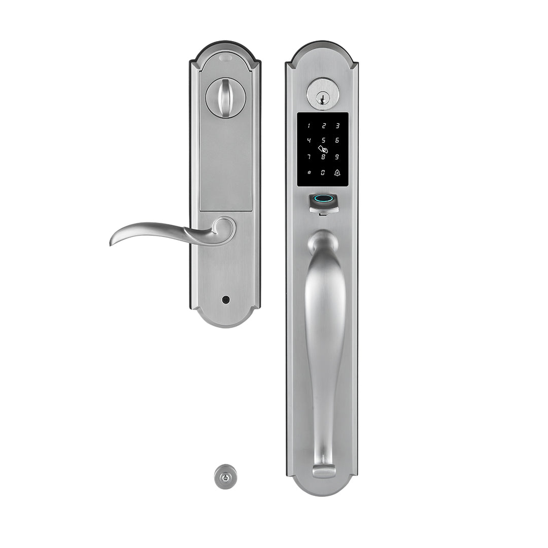 Tuya Smart Door Lock with Handle