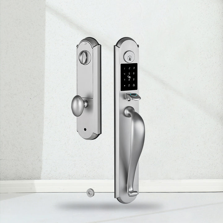 Tuya Smart Door Lock with Handle