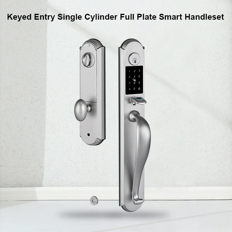 Tuya Smart Door Lock with Handle