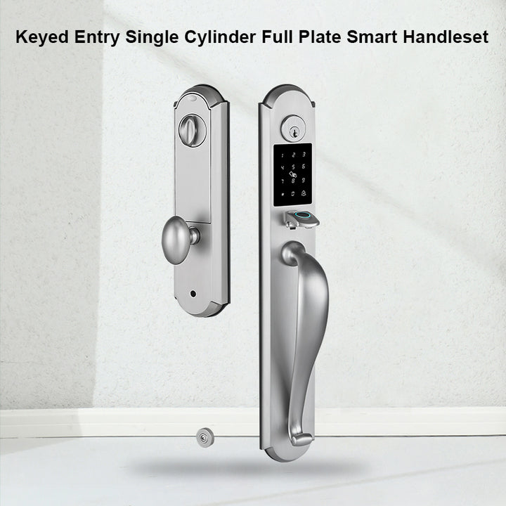 Tuya Smart Door Lock with Handle