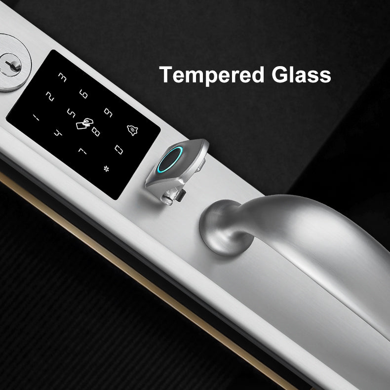 Tuya Smart Door Lock with Handle