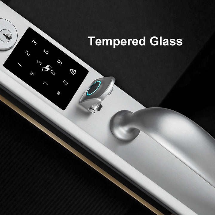 Tuya Smart Door Lock with Handle