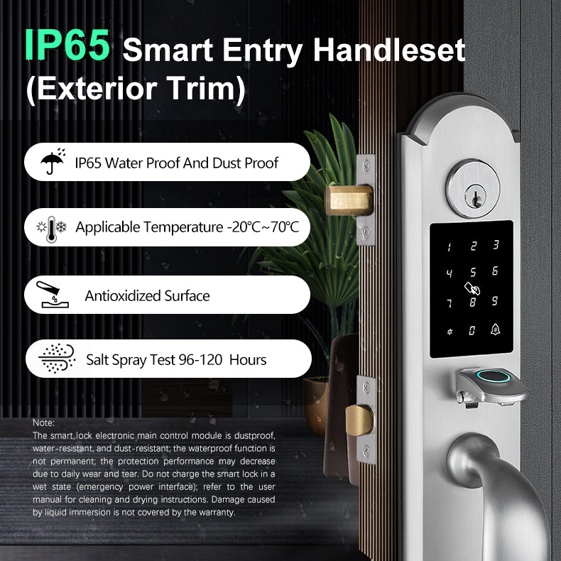 Tuya Smart Door Lock with Handle