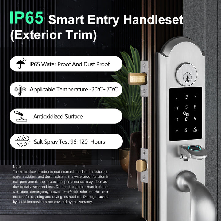 Tuya Smart Door Lock with Handle
