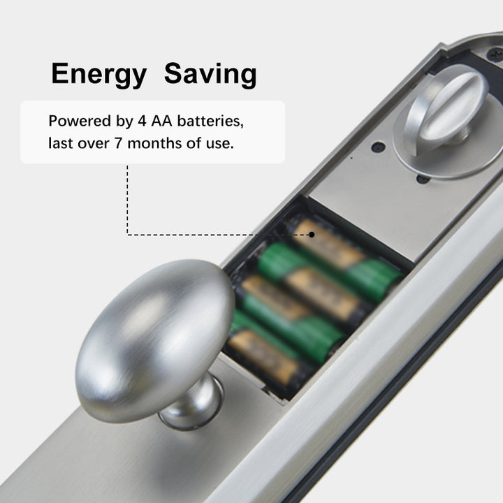 Tuya Smart Door Lock with Handle