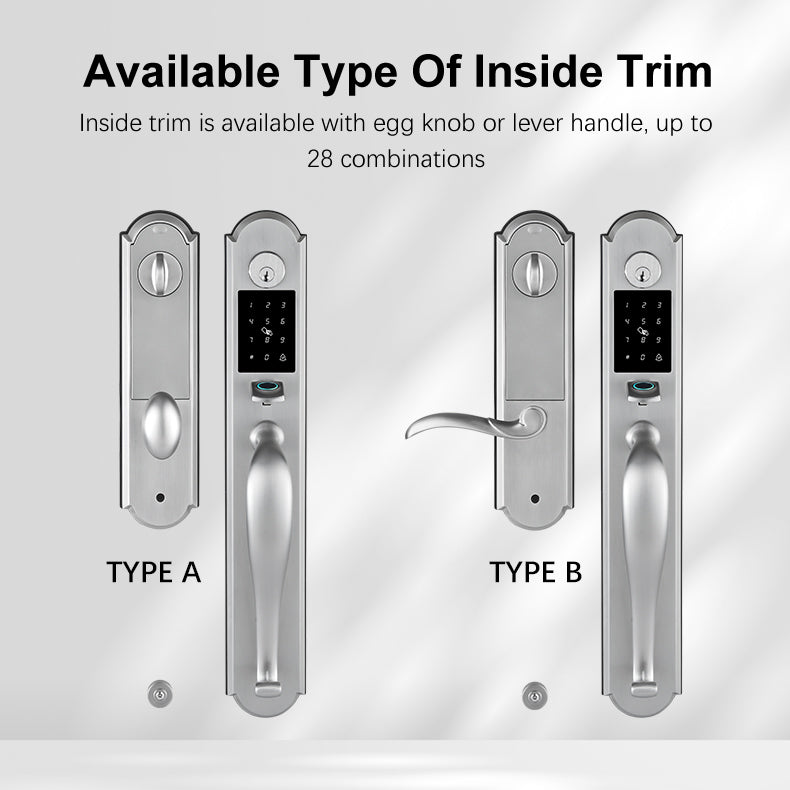 Tuya Smart Door Lock with Handle