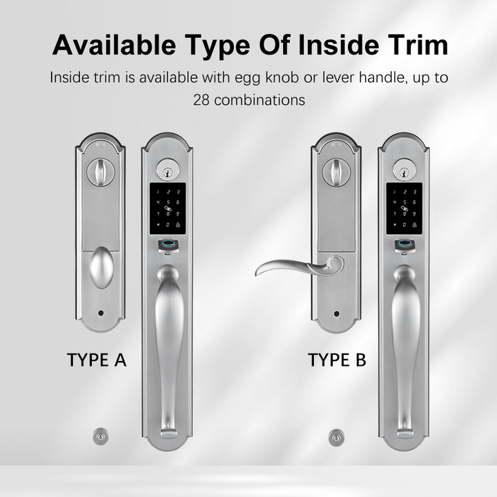 Tuya Smart Door Lock with Handle