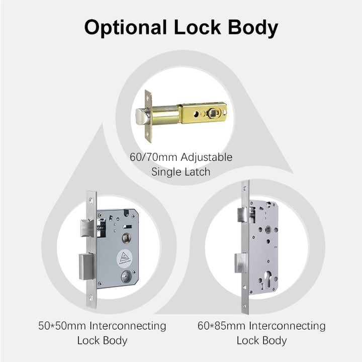 Illustration of various lock bodies with labels on a white background
