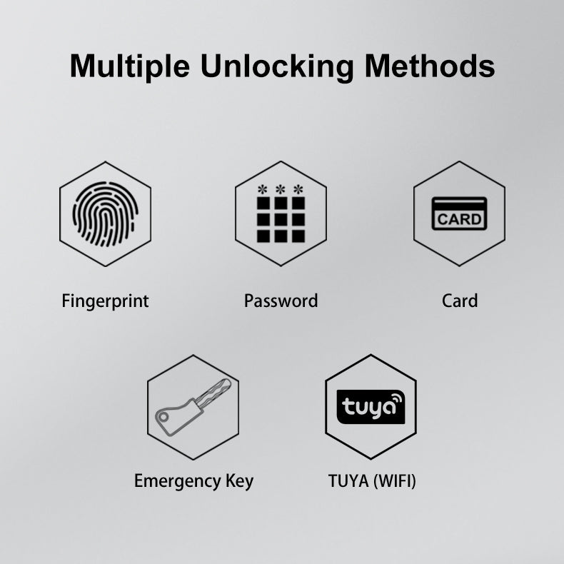Diagram of multiple unlocking methods including fingerprint, password, card, emergency key, and TUYA (WIFI) on a gray background.