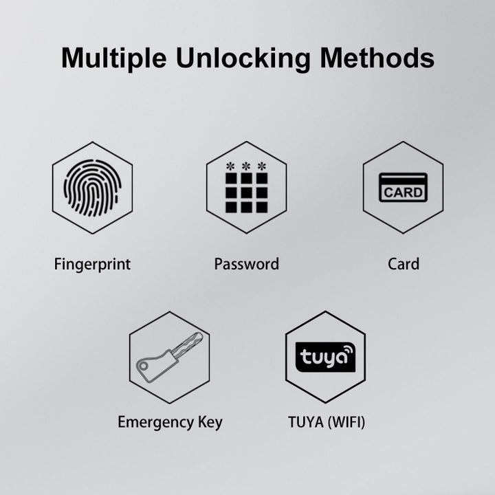 Diagram of multiple unlocking methods including fingerprint, password, card, emergency key, and TUYA (WIFI) on a gray background.